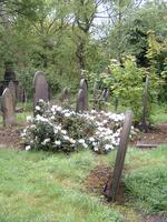 flowery grave