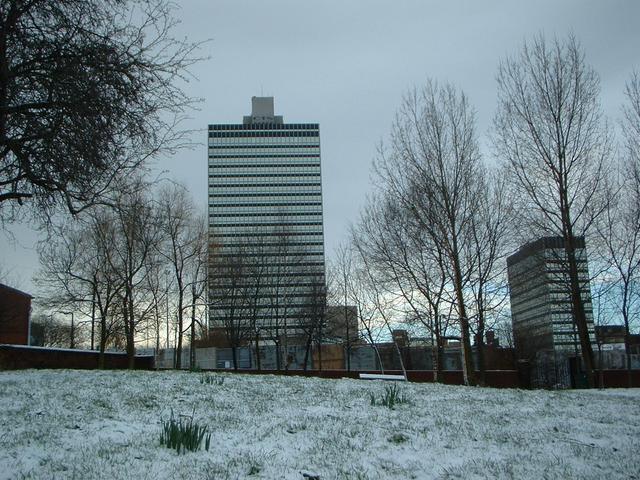 Cityscape in the snow