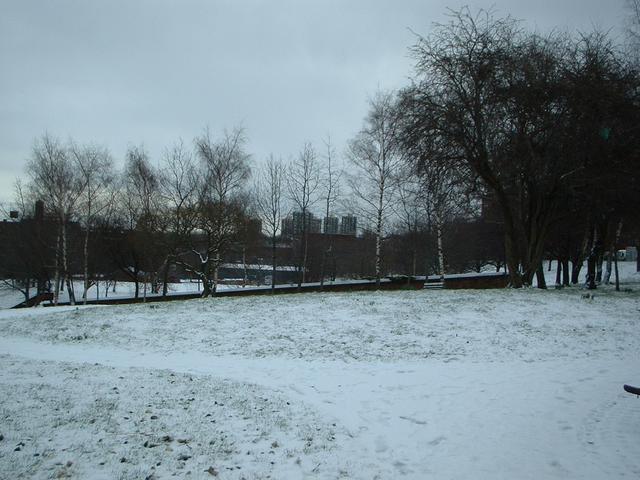 Red Bank in the snow